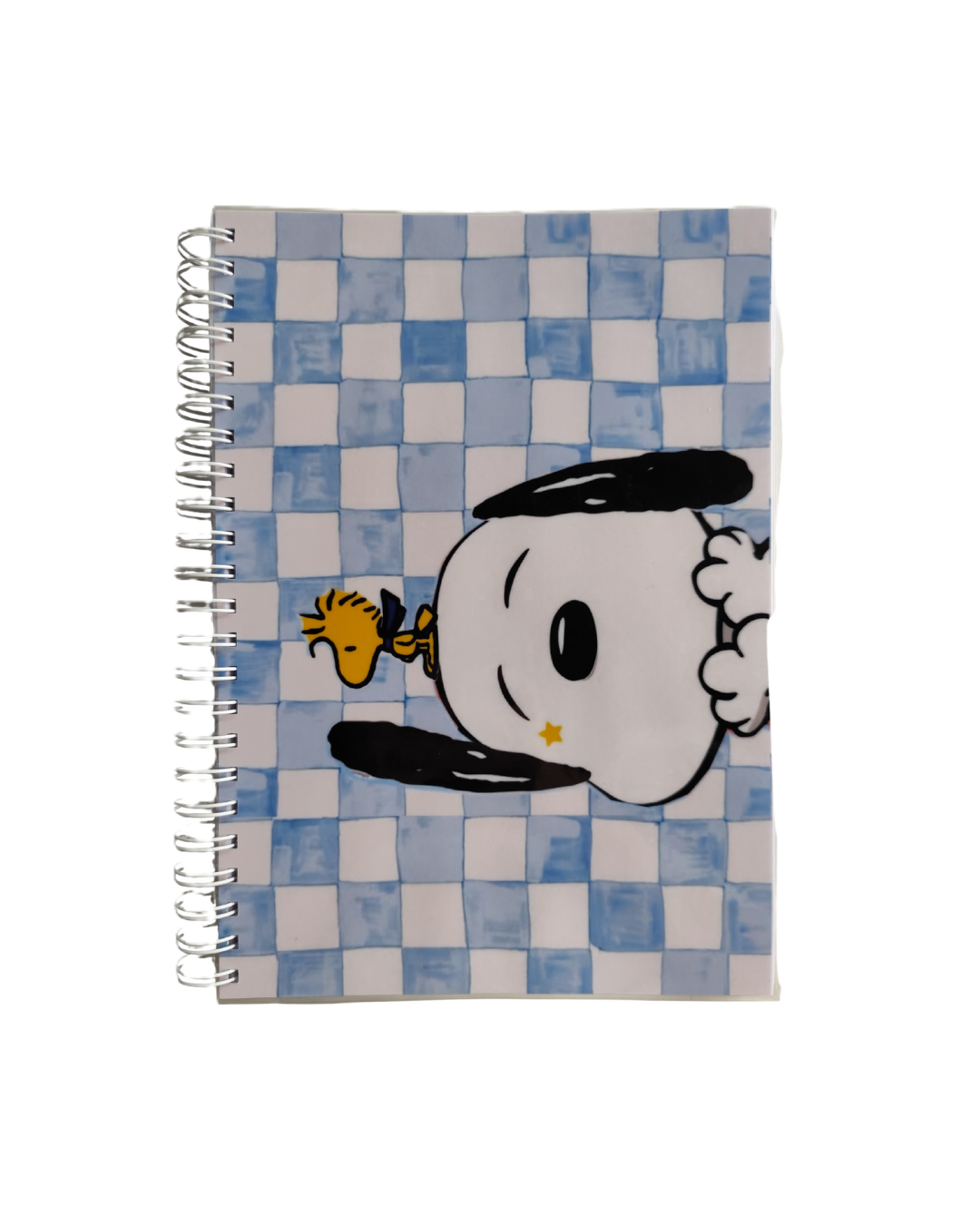 Cuadernos