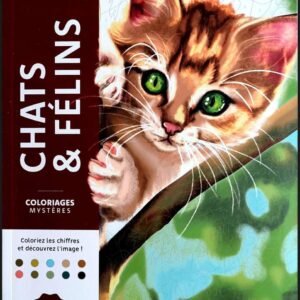 Libro para colorear Felinos y Gatos